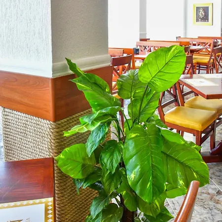 Complex Modern Hotel Mamaia