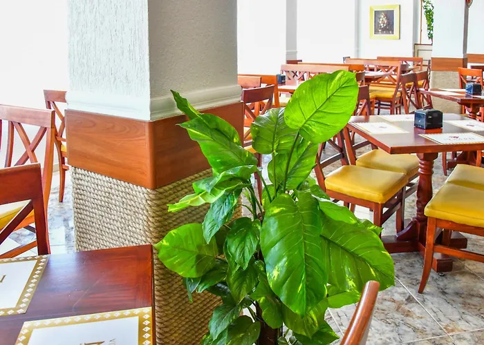 Complex Modern Hotel Mamaia